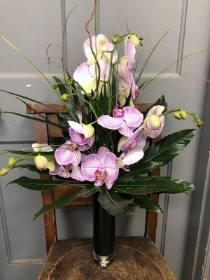 we can deliver locally and to surrounding areas, Ticehurst, Goudhurst, Tunbridge Wells, Eridge, Bells Yew Green, Five Ashes, Frant, Markcross, Mayfield, Rotherfield, Tidebrook, Groombridge, Crowborough, Burwash Common, Broad Oak, Heathfield. Etchingham. Filmwell, Hawkhurst, Stonegate, Cousley Wood, Rusthall, Pembury, Matfiled, Brenchley, Hook Green, Lamberhurst, Horsmonden, Cranbrook & Kilndown.